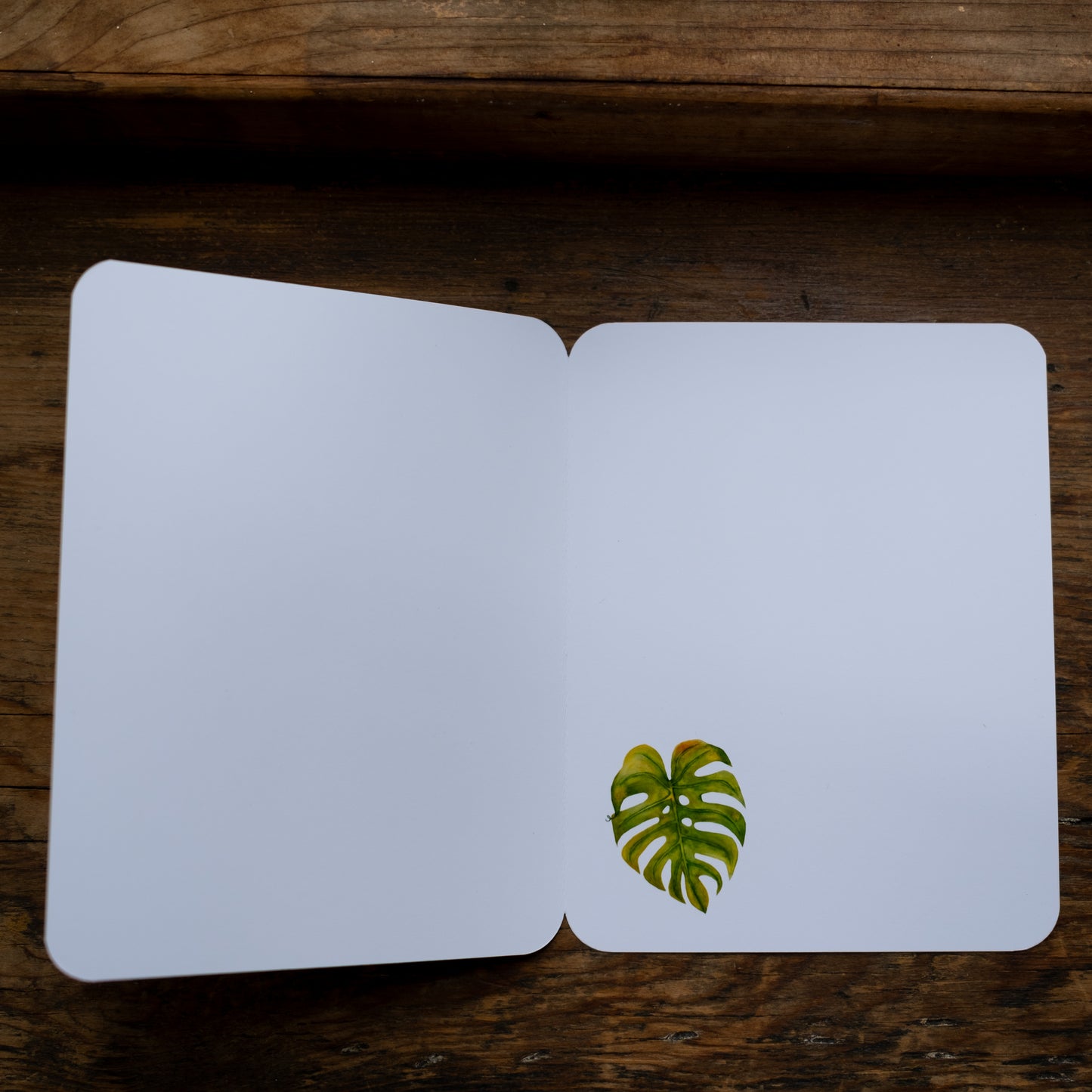 Carte - Feuille de Monstera