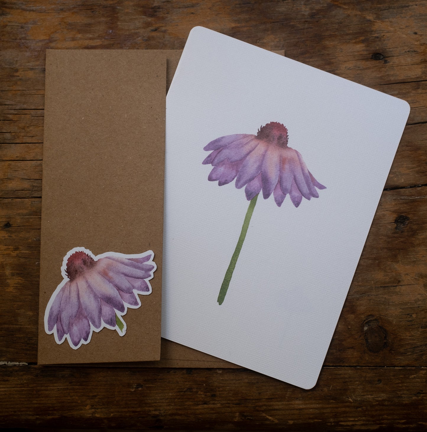 Carte - Fleur d'échinacée