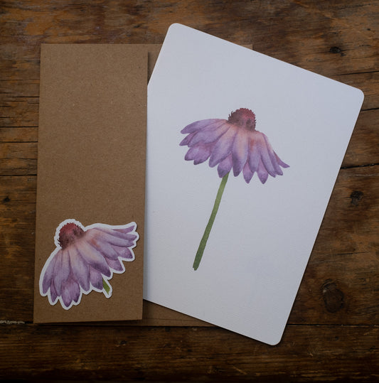 Carte - Fleur d'échinacée