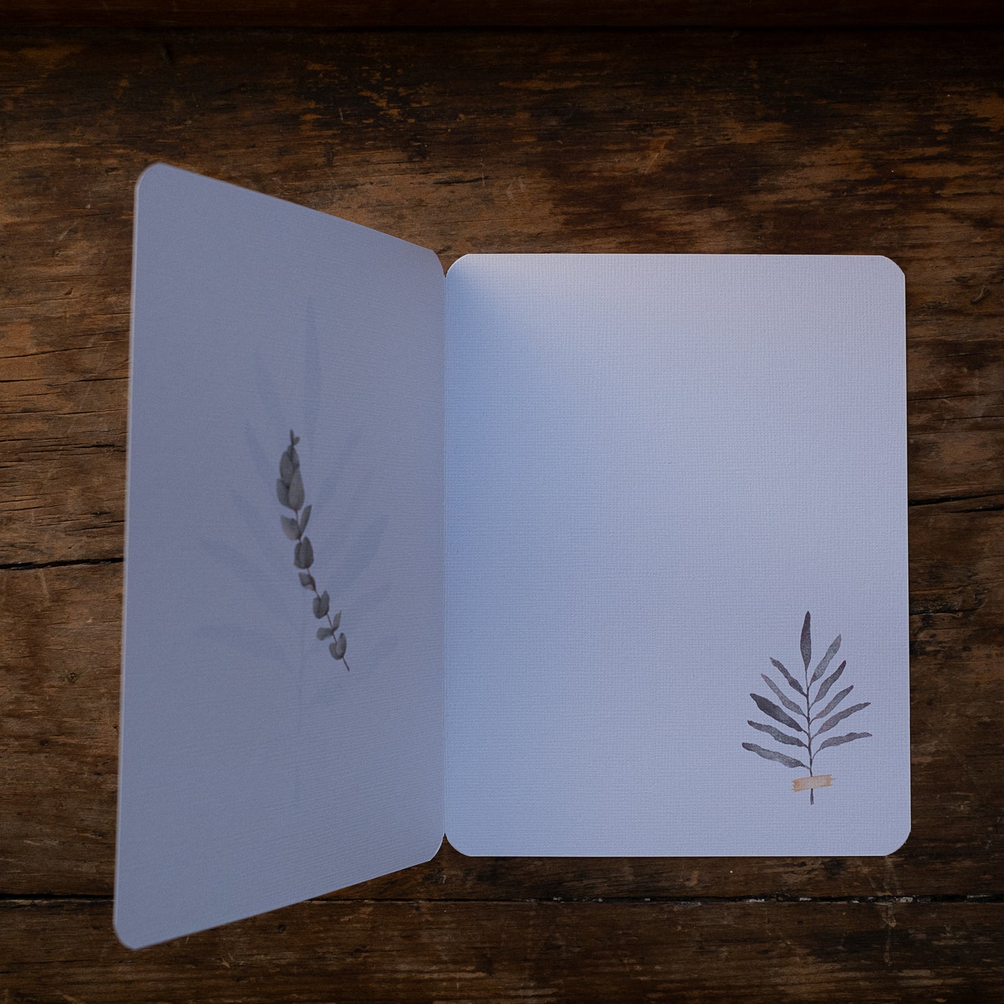 Carte Branche d'eucalyptus