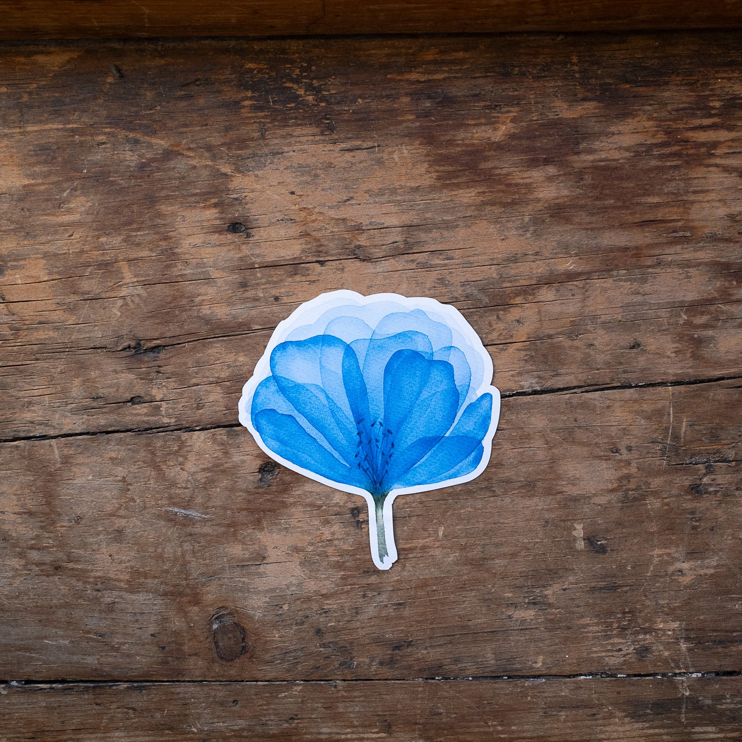 Autocollant - Fleur bleue