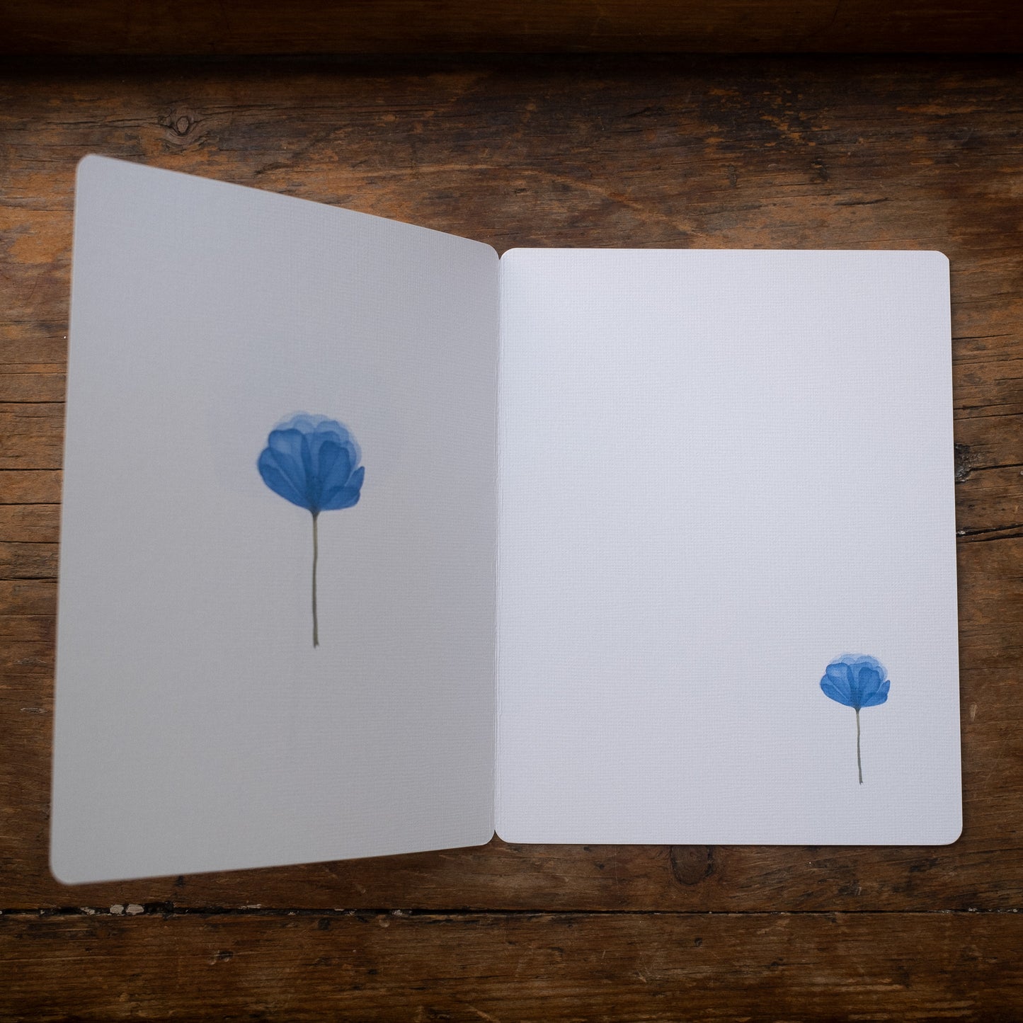 Carte - Fleur bleue diaphane