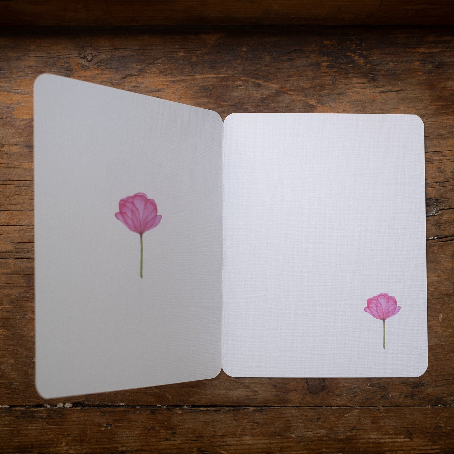 Carte - Fleur rose diaphane