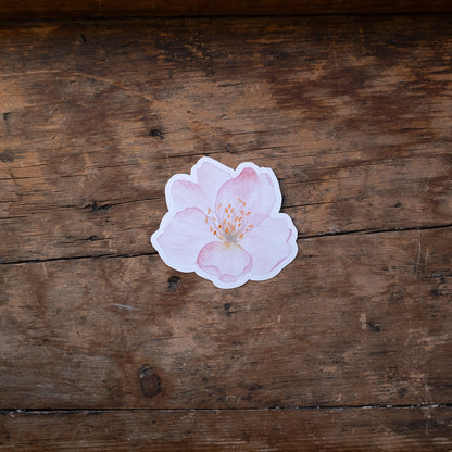 Autocollant - Fleur de cerisier