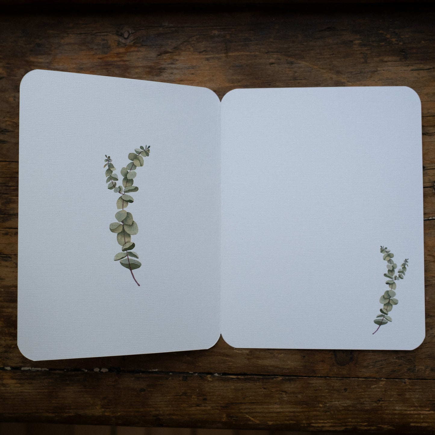 Carte - Eucalyptus Vert