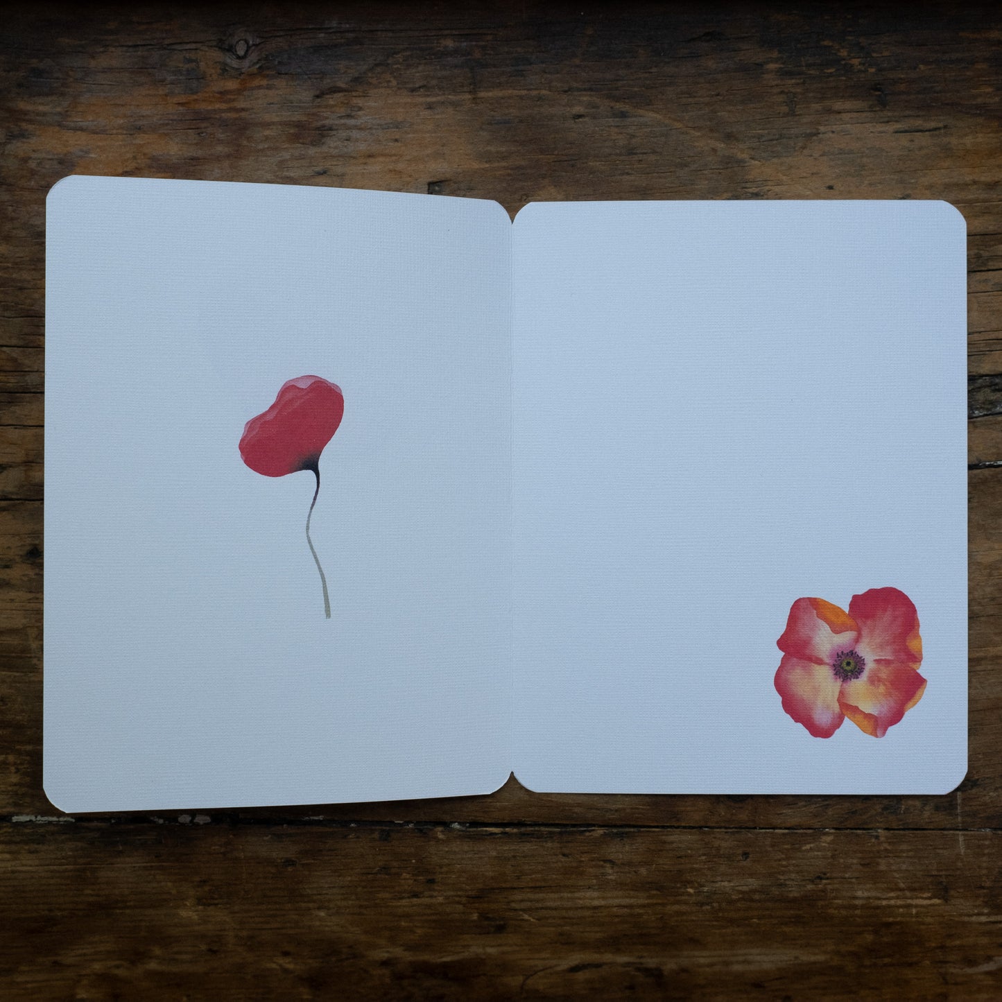 Carte - Coquelicot