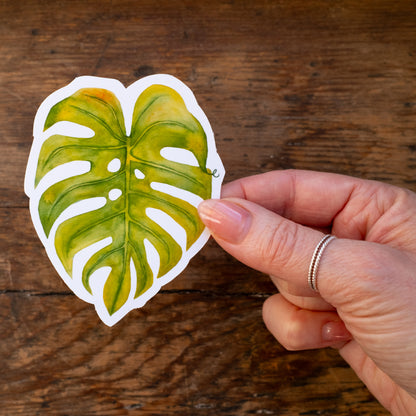 Autocollant - feuille de monstera