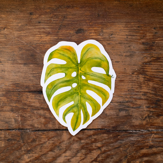 Autocollant - feuille de monstera
