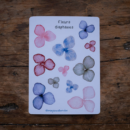 Feuille d'autocollants - Fleurs diaphanes