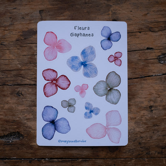 Feuille d'autocollants - Fleurs diaphanes