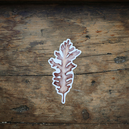 Autocollant - Feuille de chêne