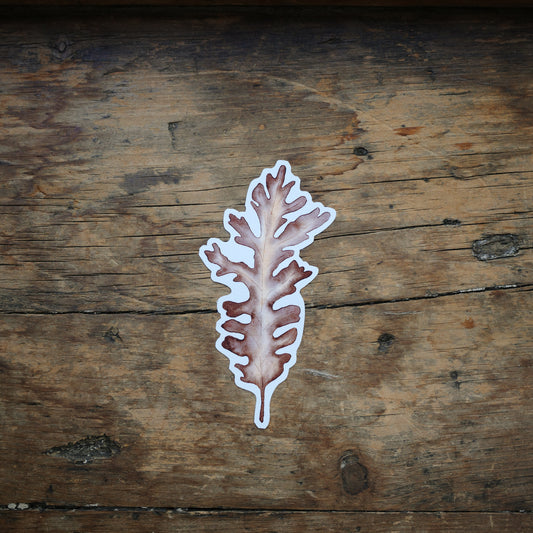 Autocollant - Feuille de chêne